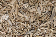 biomass boilers Talgarreg